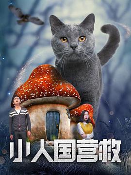 岛国午夜精品视频在线观看