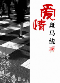 tk 的视频vk