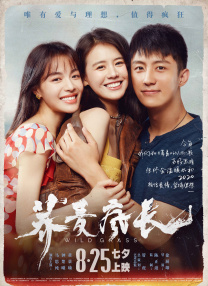 久久综合图片